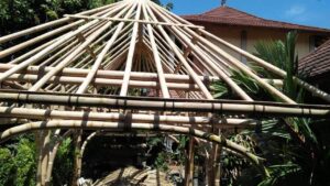 7 Amazing Bamboo House Designs That Cost Under $20,000