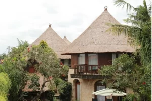 Bamboo House Benefits